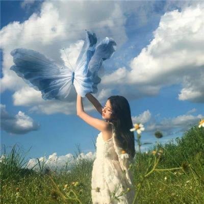 流浪猫鲍勃2：鲍勃的礼物