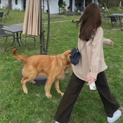 指姆仙童